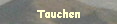 Tauchen