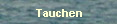 Tauchen